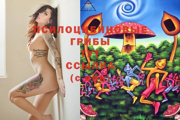 наркотики Каменногорск