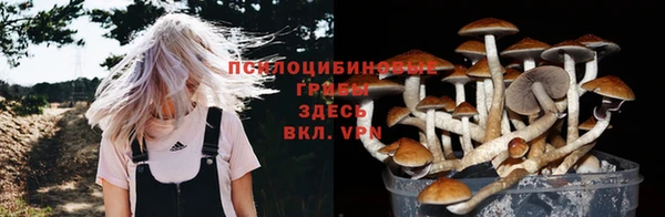 кокс Каменка