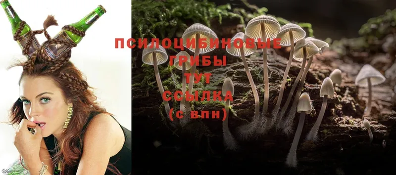 Галлюциногенные грибы Psilocybine cubensis Реутов